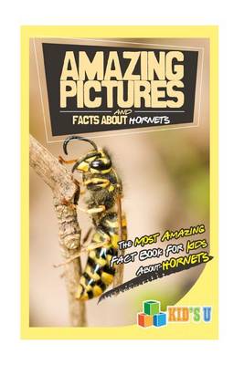 Book cover for Amazing Pictures and Facts about Hornets