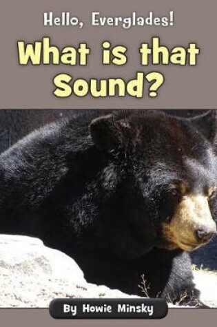 Cover of What Is That Sound?