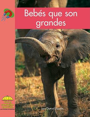 Book cover for Bebés Que Son Grandes