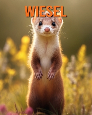 Book cover for Wiesel