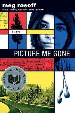 Cover of Picture Me Gone