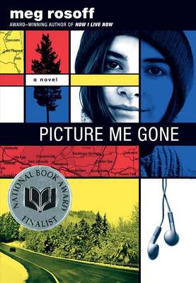 Book cover for Picture Me Gone