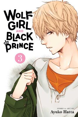 Book cover for Wolf Girl and Black Prince, Vol. 3