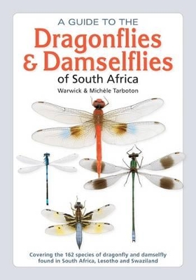 Book cover for A guide to the dragonflies & damselflies of South Africa