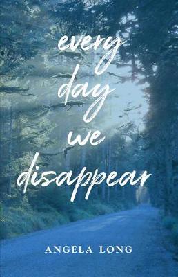 Book cover for Every Day We Disappear