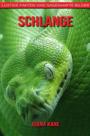 Cover of Schlange