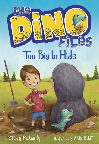 Book cover for Too Big to Hide