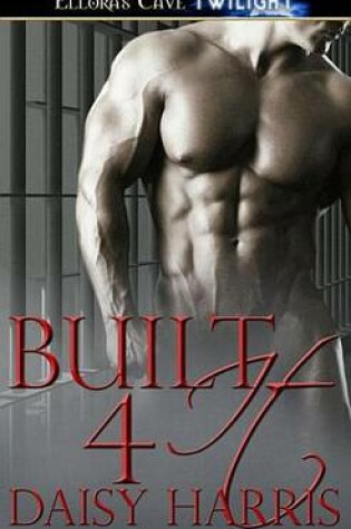 Cover of Built 4 It