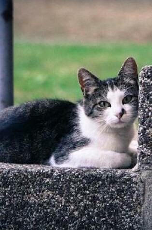 Cover of Charming Little Black and White Cat on a Step Pet Journal