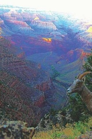 Cover of Mountain Goat at Grand Canyon