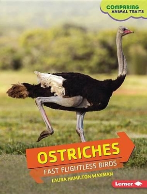 Book cover for Ostriches