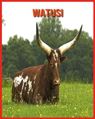 Book cover for Watusi