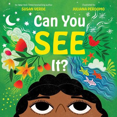 Book cover for Can You See It?