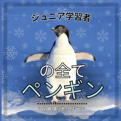 Book cover for 初心者学習者, ペンギンのすべて