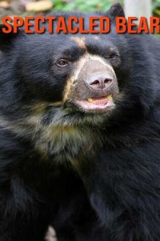 Cover of Spectacled Bear