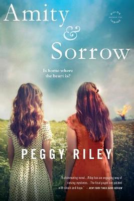 Book cover for Amity & Sorrow