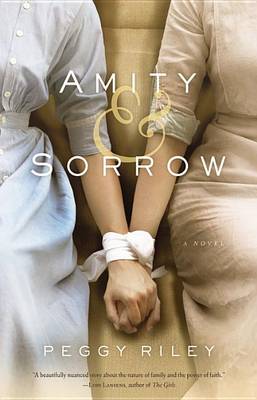 Book cover for Amity & Sorrow