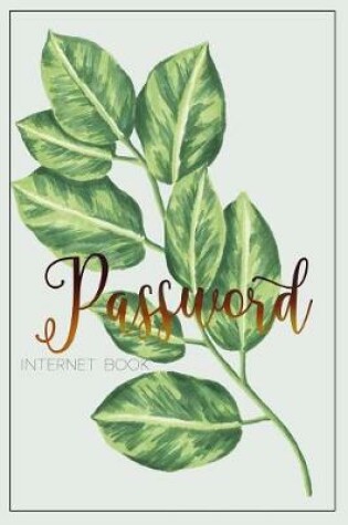 Cover of Password internet Book