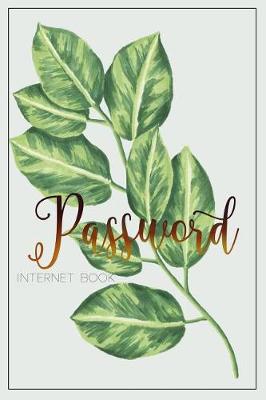 Book cover for Password internet Book