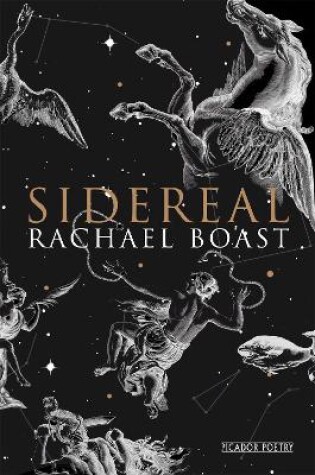 Cover of Sidereal