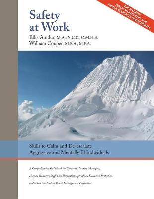 Book cover for Safety at Work