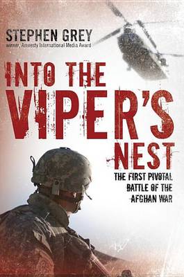 Book cover for Into the Viper's Nest