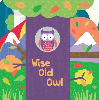 Book cover for Wise Old Owl