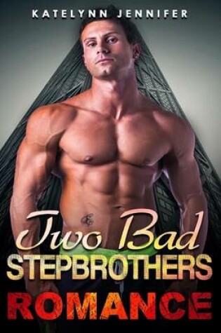 Cover of Two Bad Stepbrothers