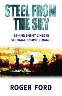 Cover of Steel from the Sky