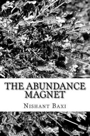 Cover of The Abundance Magnet