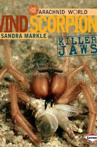 Cover of Wind Scorpions