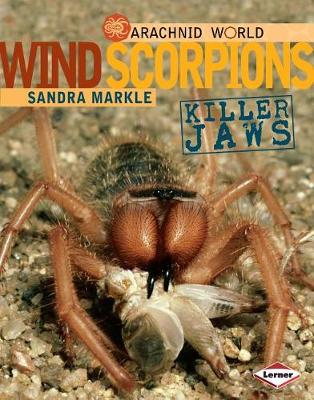 Book cover for Wind Scorpions