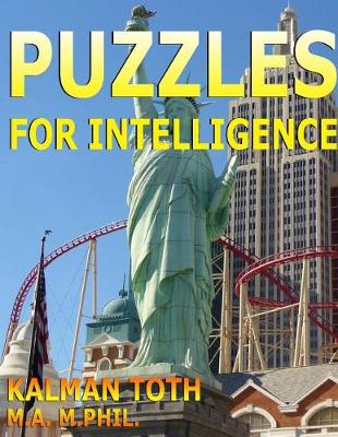 Book cover for Puzzles for Intelligence