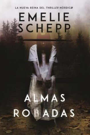 Cover of Almas robadas