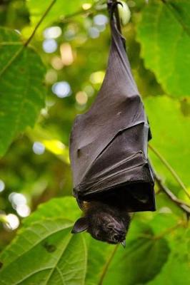 Book cover for Black Bat Hanging Upside Down In The Trees