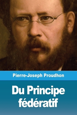 Book cover for Du Principe federatif