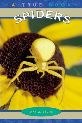 Cover of Spiders