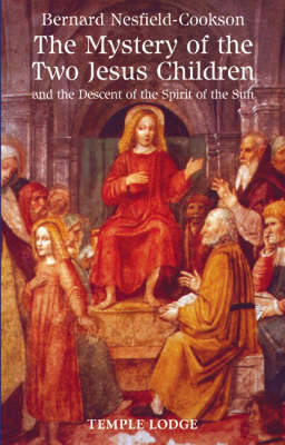 Book cover for The Mystery of the Two Jesus Children