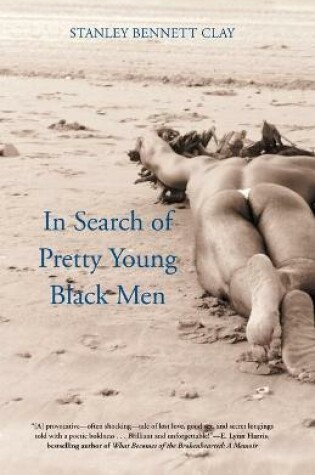 Cover of In Search of Pretty Young Black Men