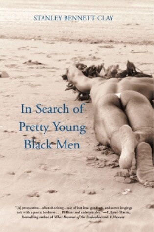 Cover of In Search of Pretty Young Black Men