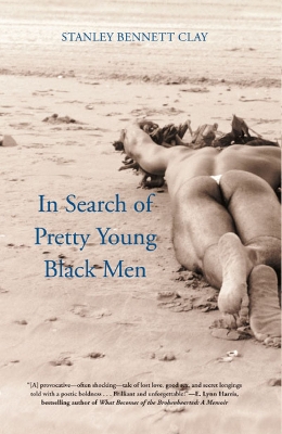 Book cover for In Search of Pretty Young Black Men