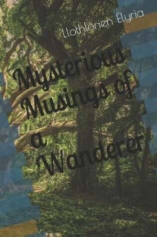 Cover of Mysterious Musings of a Wanderer