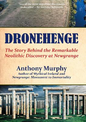 Book cover for Dronehenge