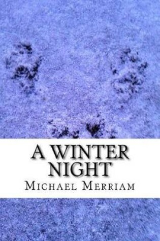 Cover of A Winter Night