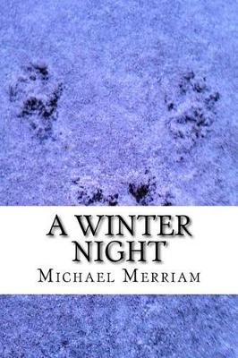 Book cover for A Winter Night