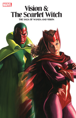 Book cover for Vision & The Scarlet Witch - The Saga Of Wanda And Vision