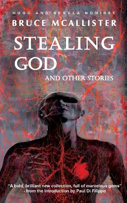 Book cover for Stealing God And Other Stories