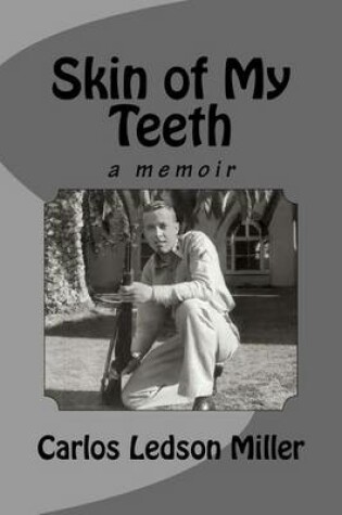 Cover of Skin of My Teeth