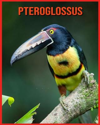 Book cover for Pteroglossus