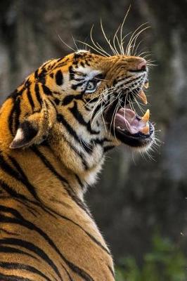 Book cover for Huge Tiger Yawning Journal